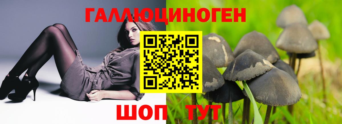 Нижнеудинск  Галлюциногенные грибы GOLDEN TEACHER  Вход с VPN  Галлюциногенные грибы мицелий 